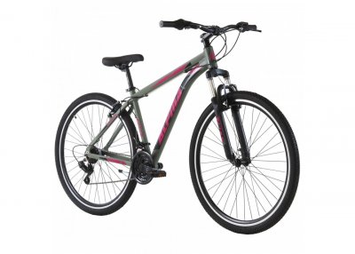 Ποδήλατο Alpina CMR Shimano Alloy MTB 24'' Grey/Pink 14''